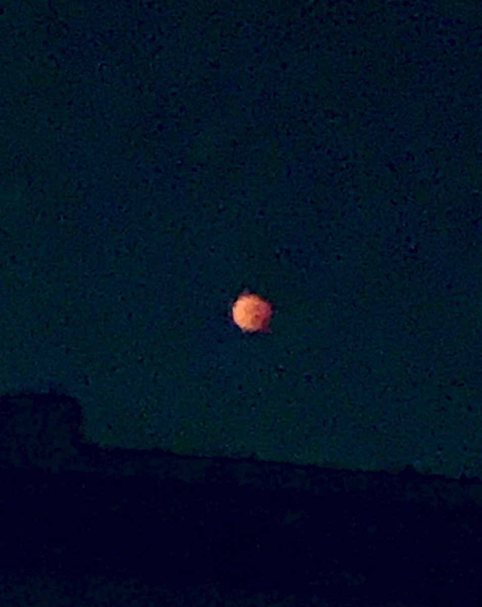 ニャンちゅうみたいな
おじいにゃん
また食欲が
出てきたにゃん
綺麗に撮れてないんだけど
月食🌕
オレンジ色でした
今週もよろしくお願いします☘
ɢ०ᵒᒄ ʍᵒ🐮~ʳᐢⁱᐢᵍ
. . 𖥧 𖥧 𖧧 ˒˒. .🌳. . 𖥧 𖥧 𖧧 ˒˒. .🏡🌳. . 𖥧 
#ケツ曜日 
#皆既月食2025