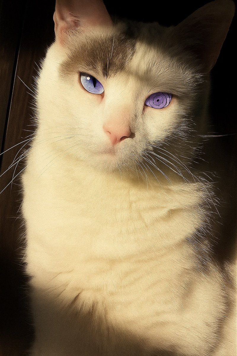 Mirad que guapos mis bebés