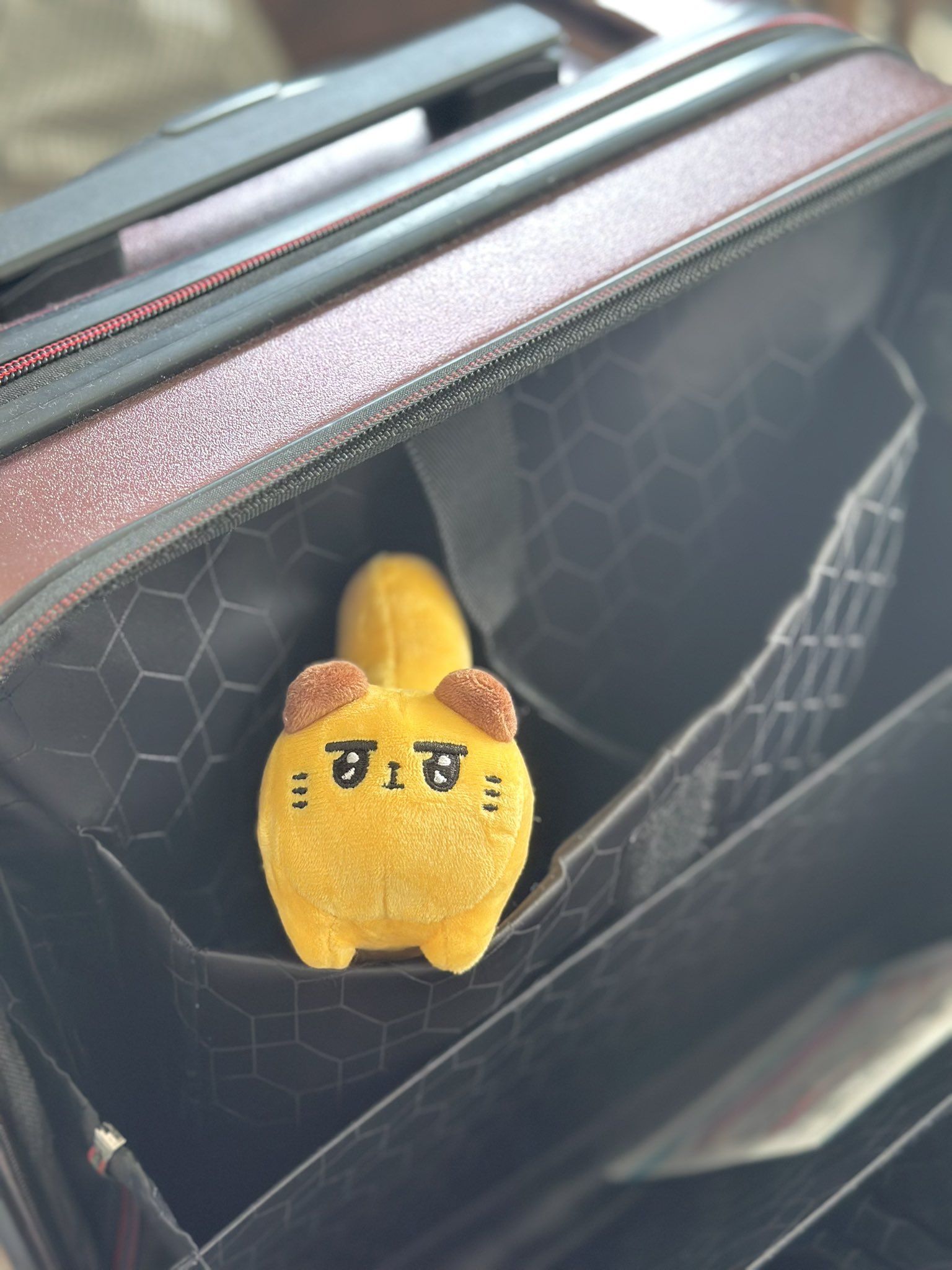 【ばななページ】 ds254435.jpg