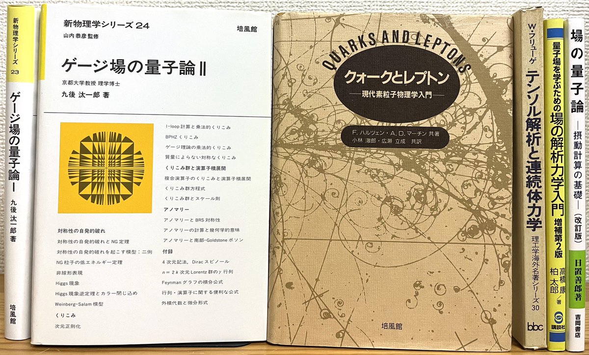 クォークとレプトン: 【クォークとレプトン 現代素粒子物理学