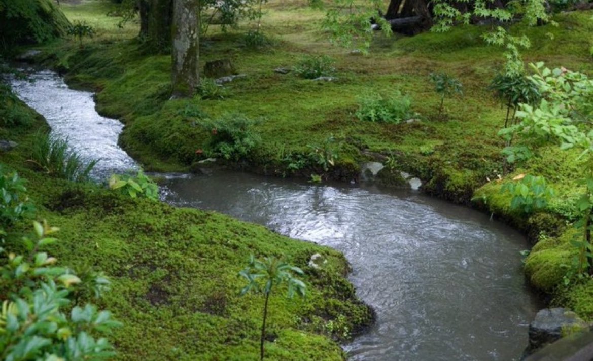 faefearing's tweet image. new account for #booktwt &amp;amp; #writertwt

𖢥 they / them , 21 
𖢥 wanna get better at writing &amp;amp; talk abt books 
𖢥 fantasy , horror , bugs &amp;amp; puppets !
𖢥 &amp;lt;3 piranesi

interact to be mutuals &amp;lt;3