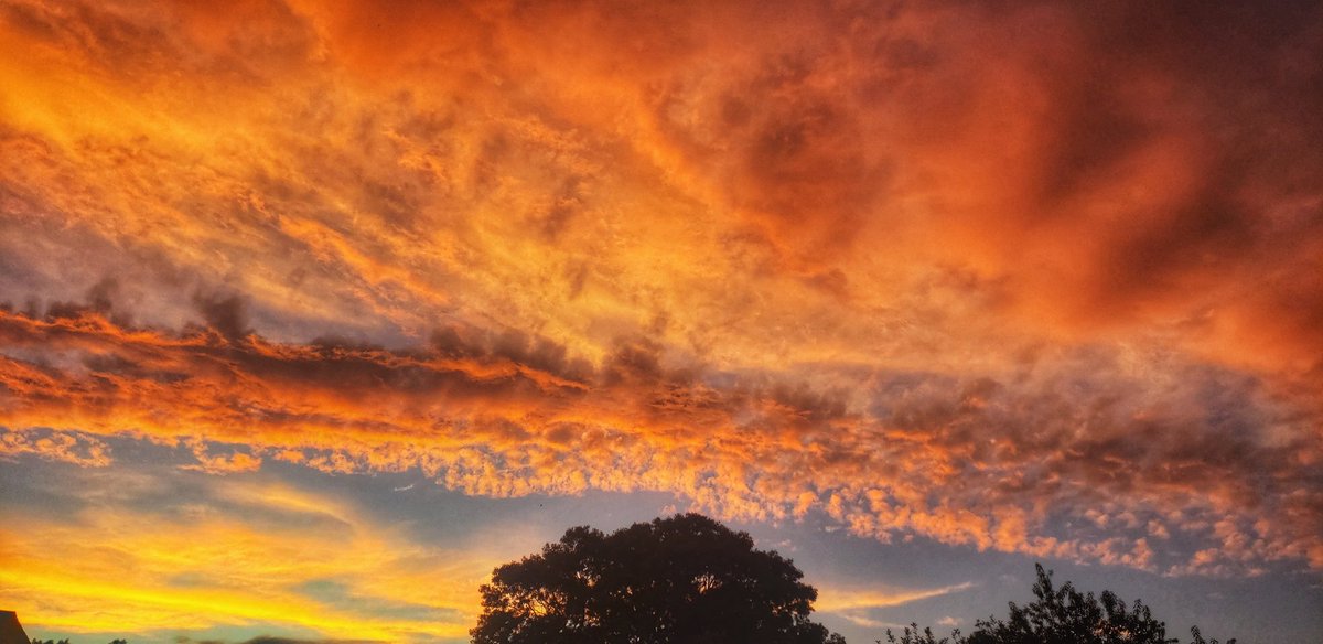 Sapo Man Photography 😃 tweet media