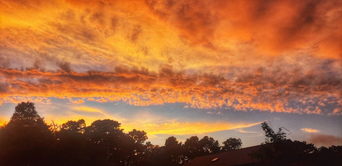 Sapo Man Photography 😃 tweet media