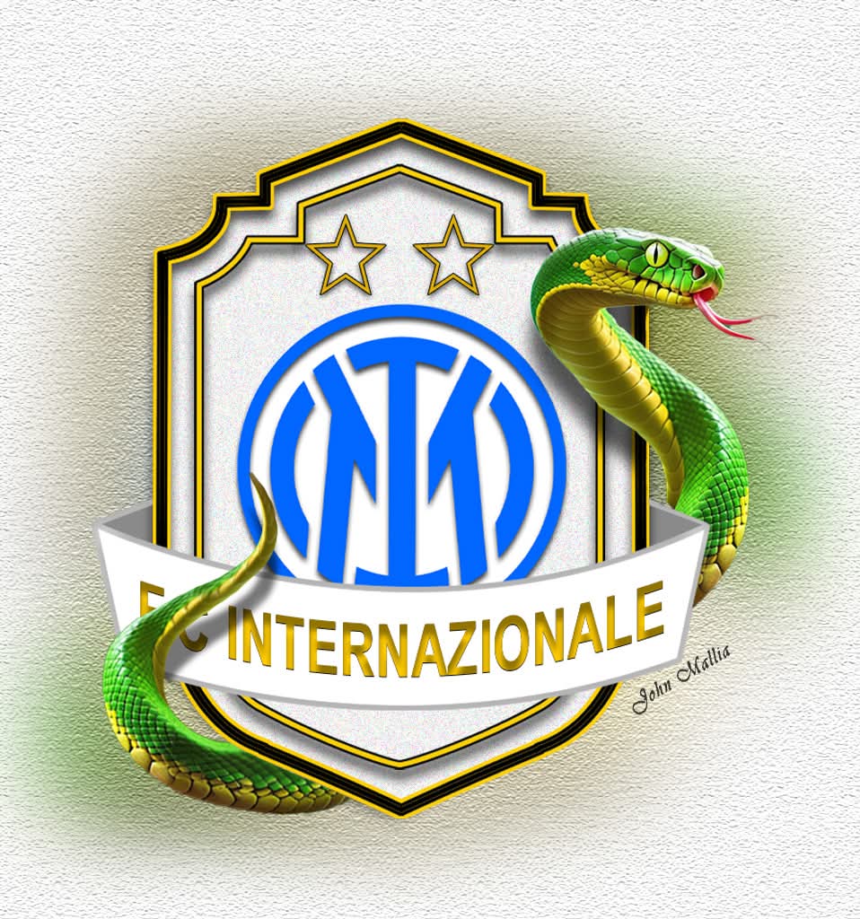 FilippoDeZan6's tweet image. Una fede e un&apos; amore NON SI CAMBIA... #ForzaIntersempre!!😍
#fcinternazionalemilano1908⚫️🔵