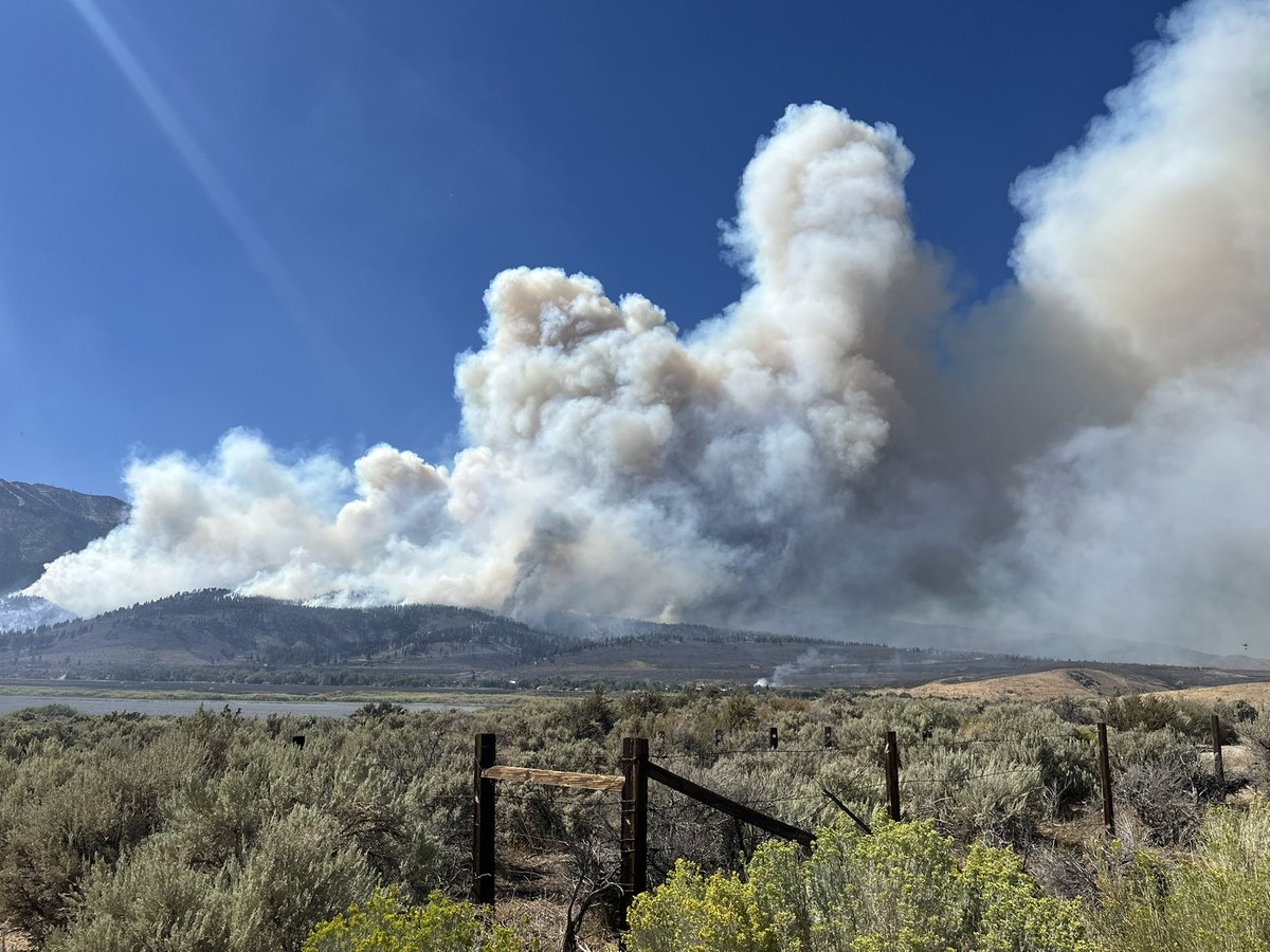 Today marks one year since the Davis Fire broke out at Davis Creek Regional Park, burning thousands of acres and 14 homes. 

This anniversary is a reminder that fire season is not just during the summer months, but all year round.