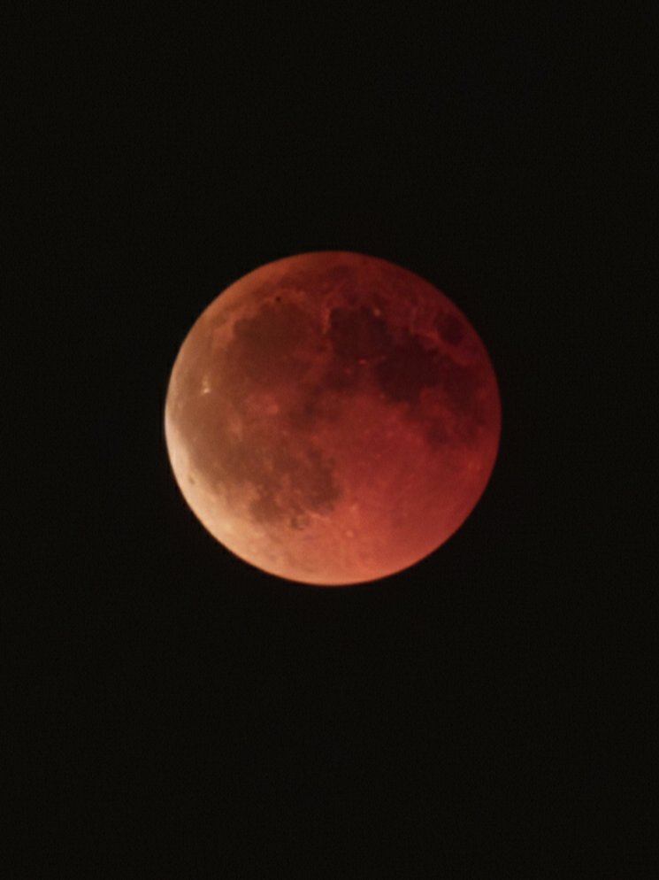 Vyjeme na měsíc ❤️🌕

Pozdravy od liškodlaků ❤️

#BloodMoon