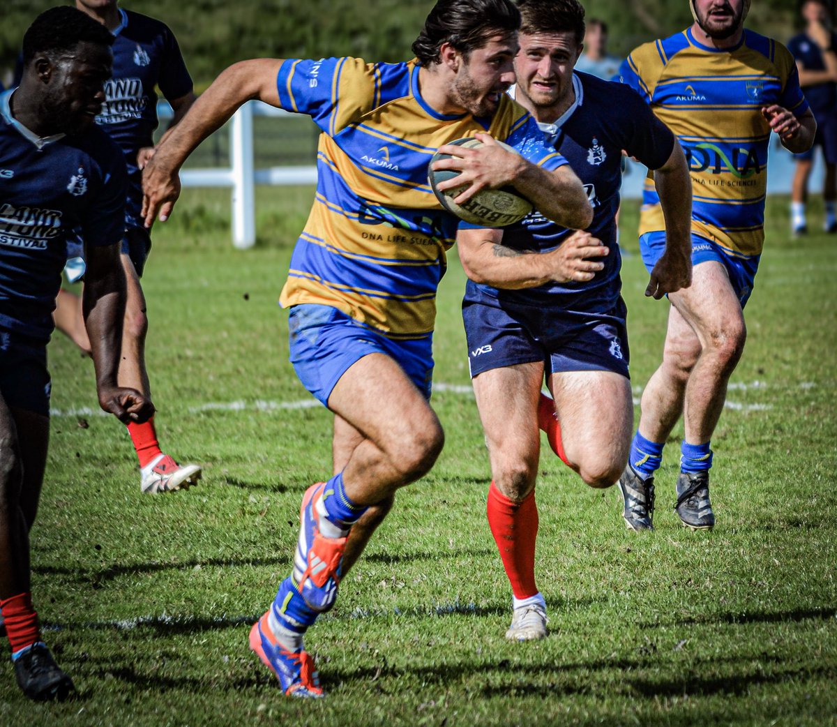 Ali Boyd tweet media