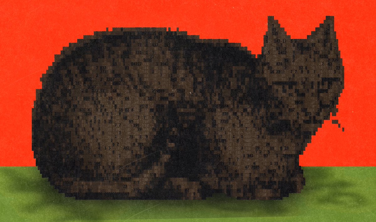 enigmatriz's tweet photo. meow. https://t.co/wtVrk3fcbt