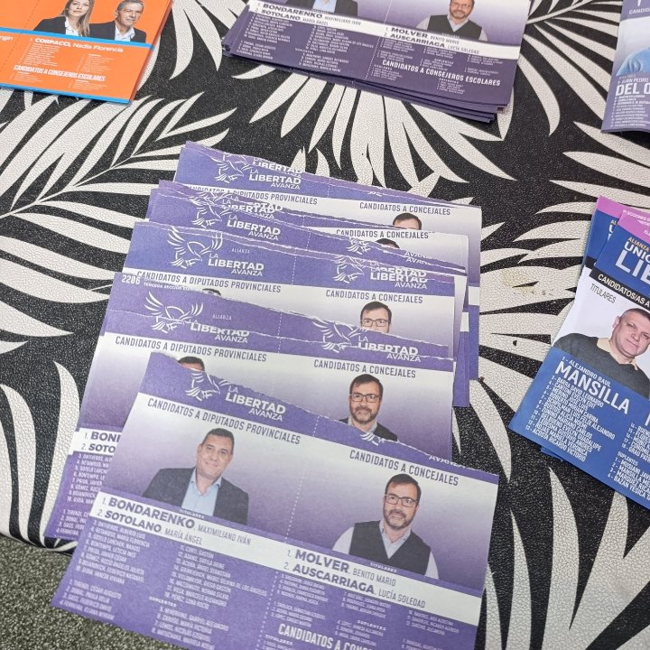 madee10n's tweet image. Axel Kicillof 
Maximo Kirchner 
Mayra Mendoza 
Espinoza 
Pagano
Salieron a decir que la DEMOCRACIA está en peligro con Milei 😏😏 , que vengan DEMOCRATICAMENTE  a votar 😏😏
Para poner en MARCHA la DEMOCRACIA 
😏😏😏