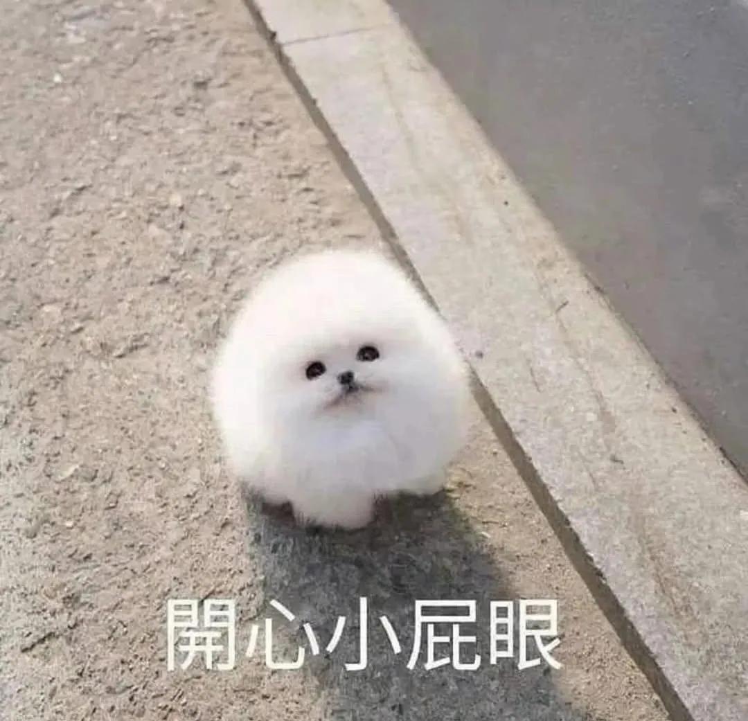 我就是這樣情緒變化很大的人，一下子難過一下子開心，哈哈屁眼我超怪，反正就是很感性的人，超級蘇破F人 https://t.co/AGBzl6brz2