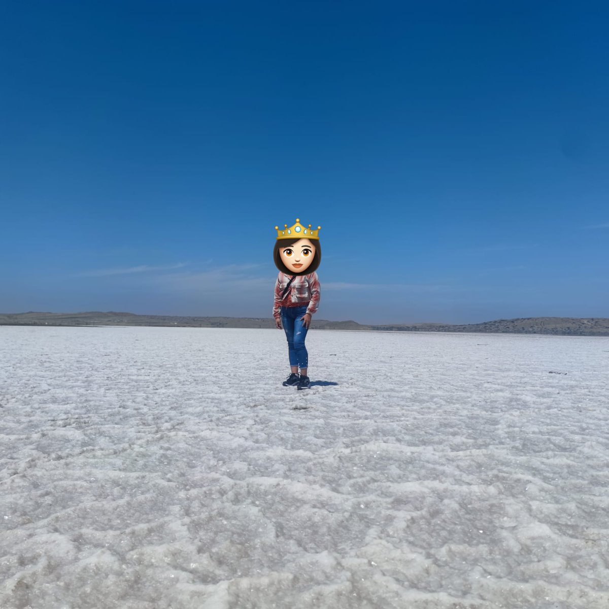 Luis&Rose tweet media