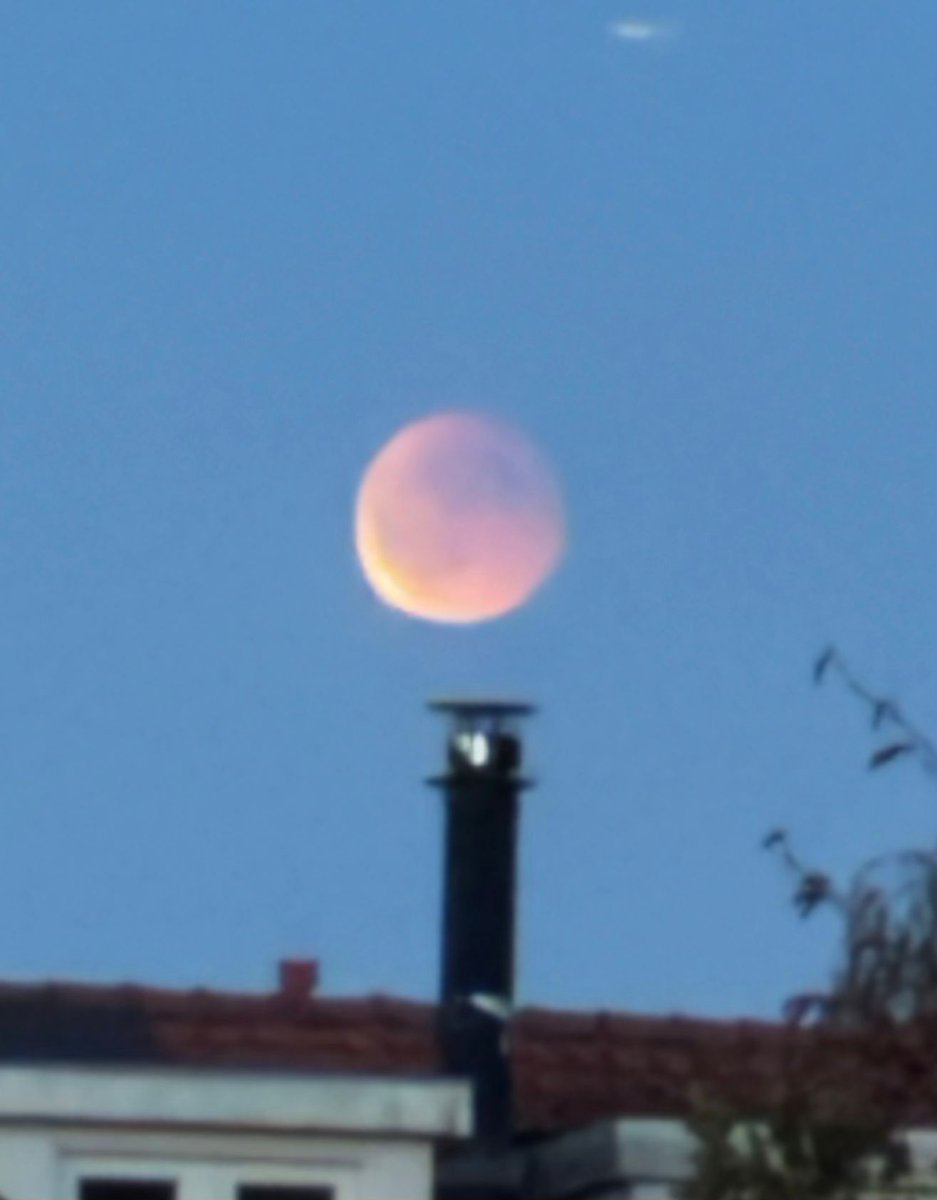 #Bloedmaan <a href="/Amstelveenz/">AMSTELVEENZ</a> <a href="/NUnl/">NU.nl</a>