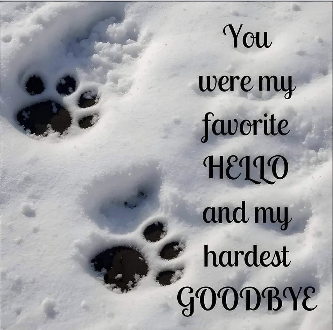 Zulk mooi weer vandaag...
Geprobeerd de gedachten te verzetten...maar iedere keer herinnerde iets me aan mn allerliefste moppie💖
Ik mis haar zo!!😭