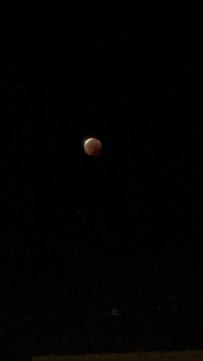 なんとなーく目覚めたおかげで皆既月食みれたー！！！🌕💕