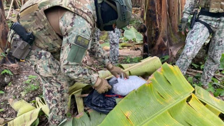 En El Oro acaban de incautar droga en una bananera otra vez ¿Alguien me podría explicar por qué, si en este país cada dos días encuentran toneladas de droga en cajas de banano, no hay un solo exportador o bananero procesado? Algún votante de Noboa que nos explique por favor.