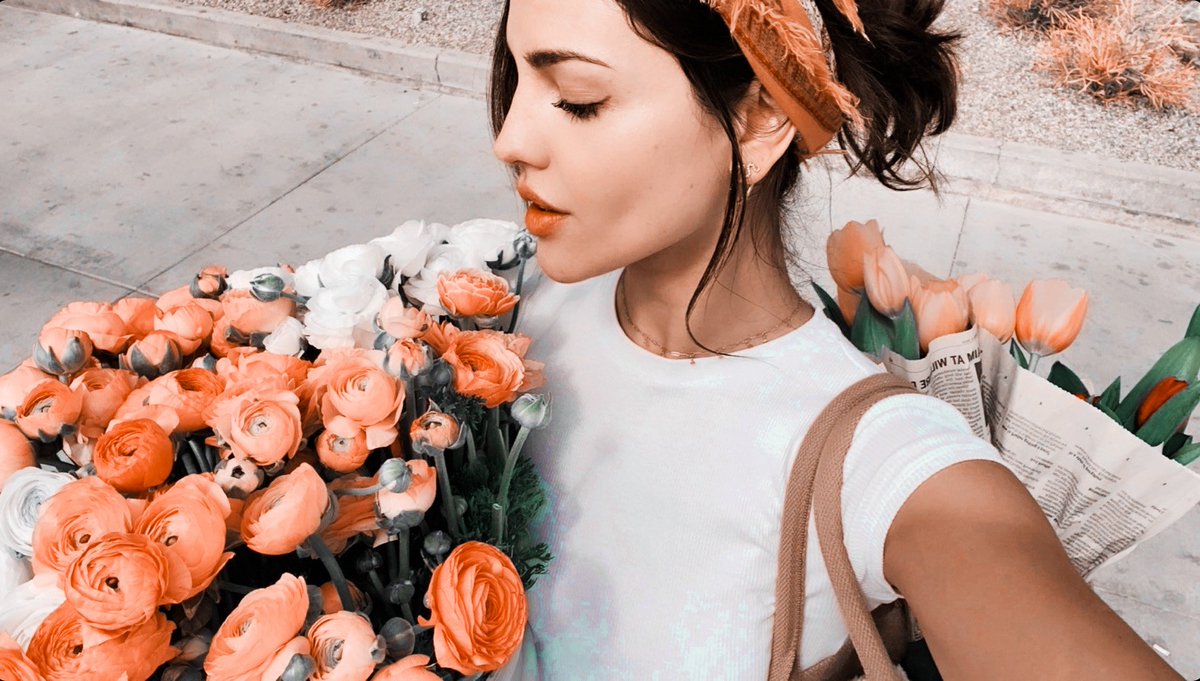 𝑽. 𝑫𝒓𝒂𝒌𝒆 tweet media