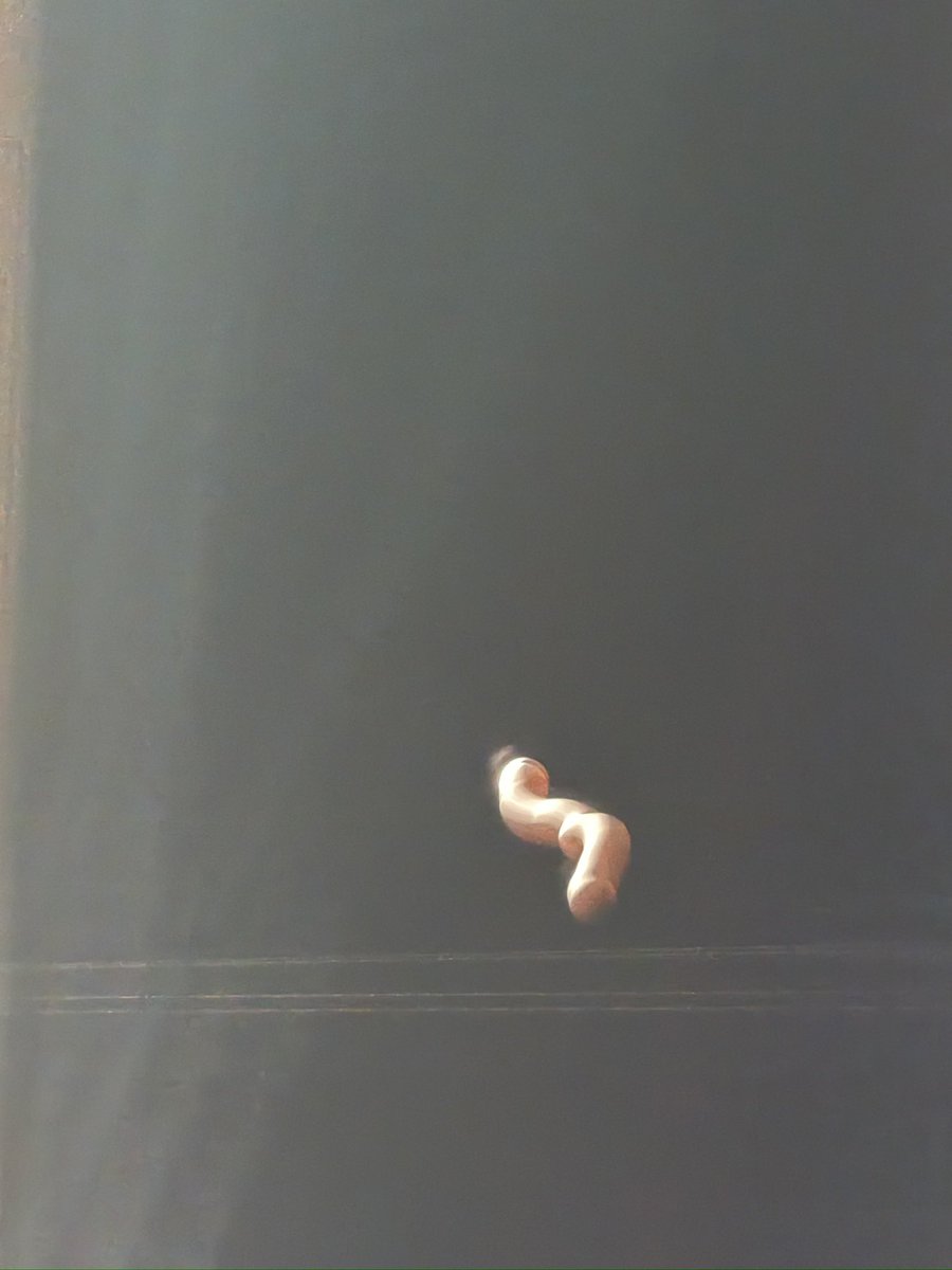 #月食ヘタクソ部