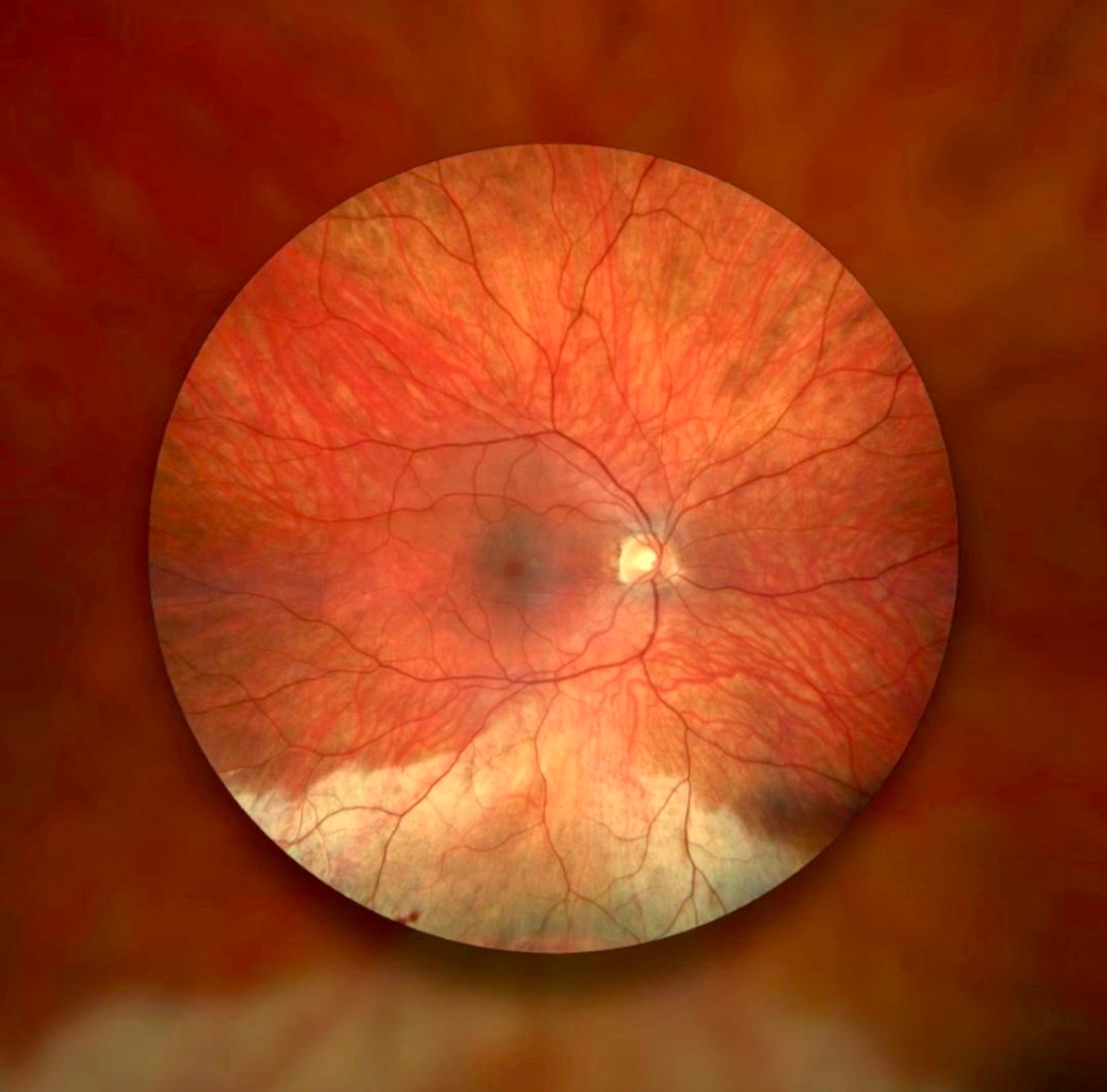 Abdullah Alshakhs 🥥 (@a_afif250) on Twitter photo 