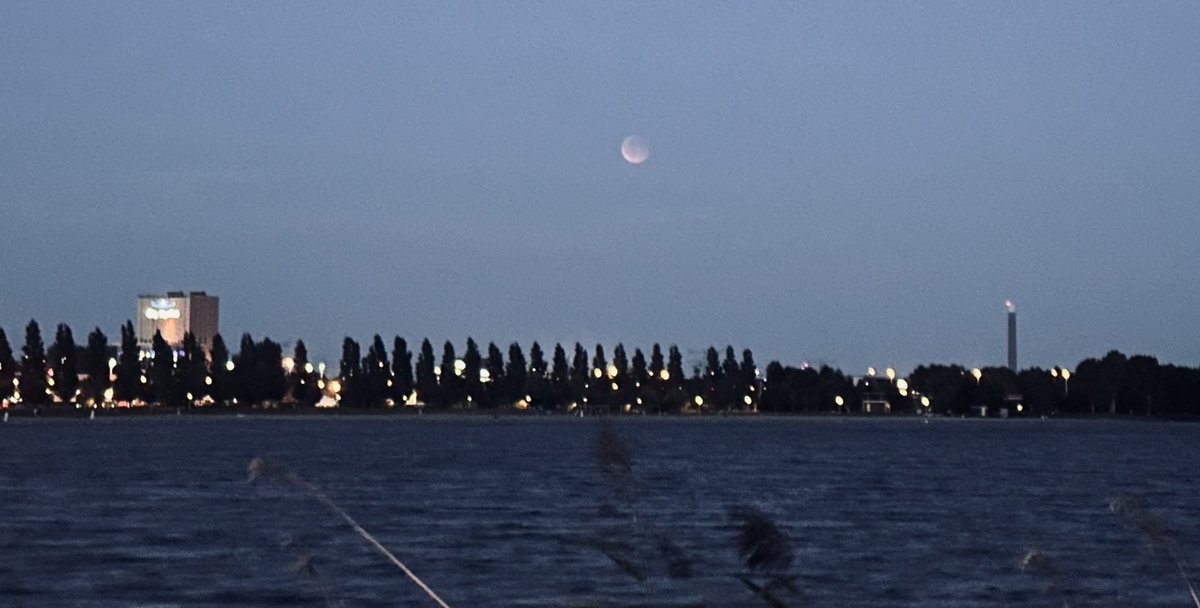 Helga van Leur ☀ tweet media