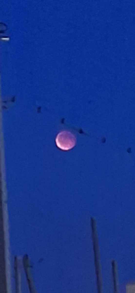 _happy_fellow's tweet photo. #LunarEclipse2025 🥰 https://t.co/5goqfPkpGT