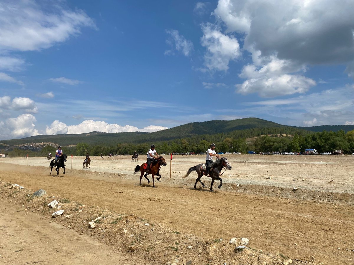Kaymakamımız Sn.Muhammed Furkan Tuna,Milliyetçi Hareket Partisi Genel Sekreteri,Bursa Milletvekili İsmet Büyükataman, Belediye Başkanımız Ali Osman Tayır, kurum amirleri ve vatandaşlarımızın katılımlarıyla Geleneksel Orhaneli Rahvan At Yarışları büyük bir coşkuyla gerçekleştirdi.