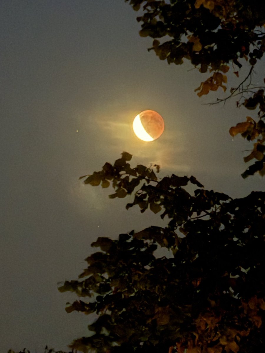 A. v. Reenen 🚲 tweet media