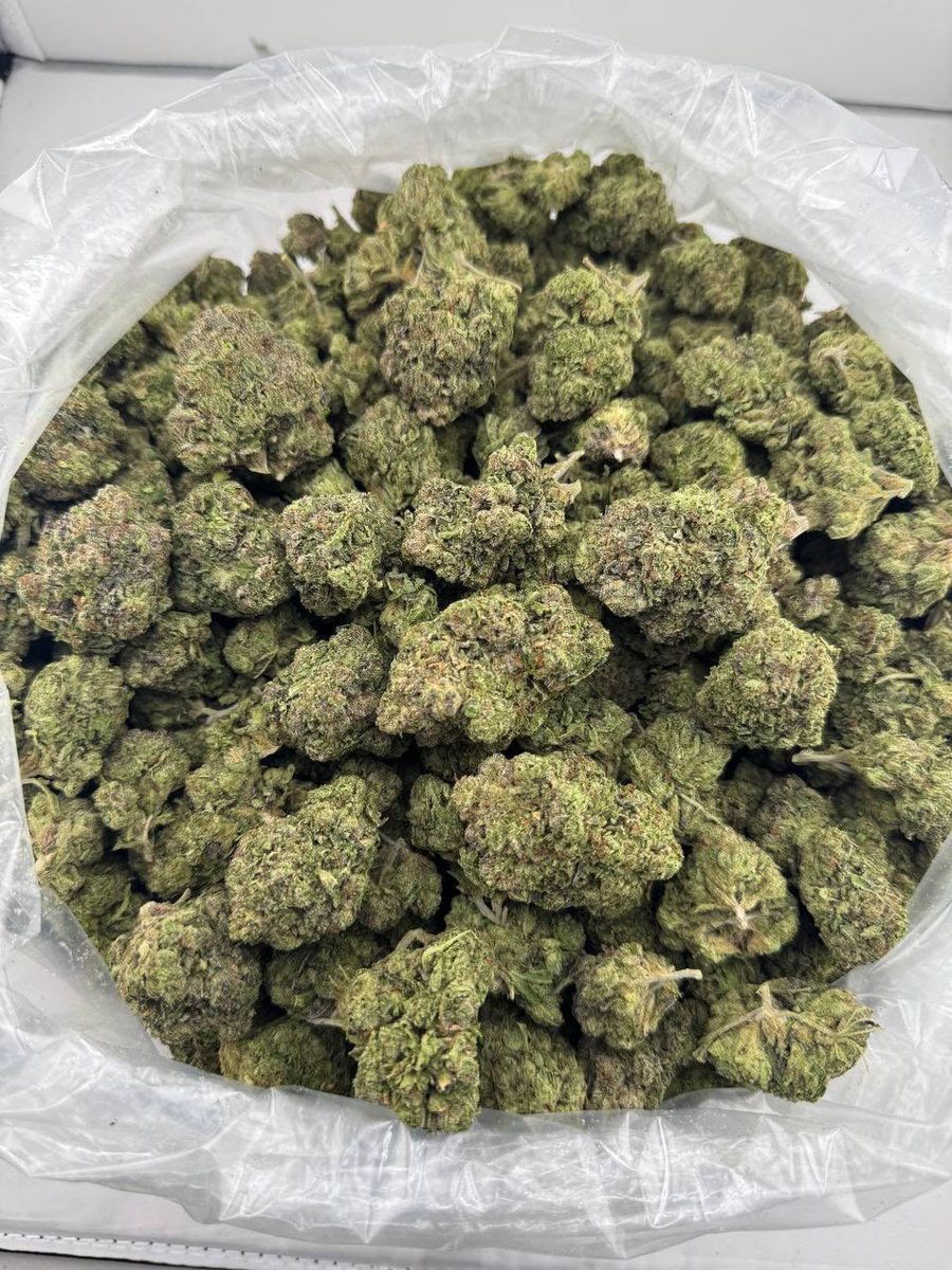 Cloud9Collect42's tweet photo. CANDY CARTEL ⛽️ Menu below 

Telegram : https://t.co/KDg0A47dFO

Linktree: https://t.co/yAWgQsyVG7

#WeedCommunity #CannabisLovers #WeedArt #BudLife #MaryJane https://t.co/sQZ2wecQzE