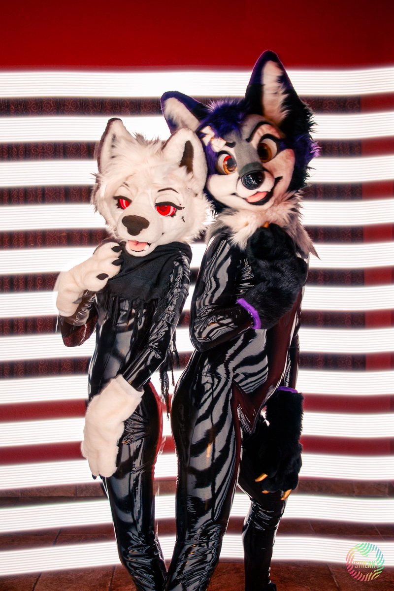 STAG ᛉ🥩 tweet media