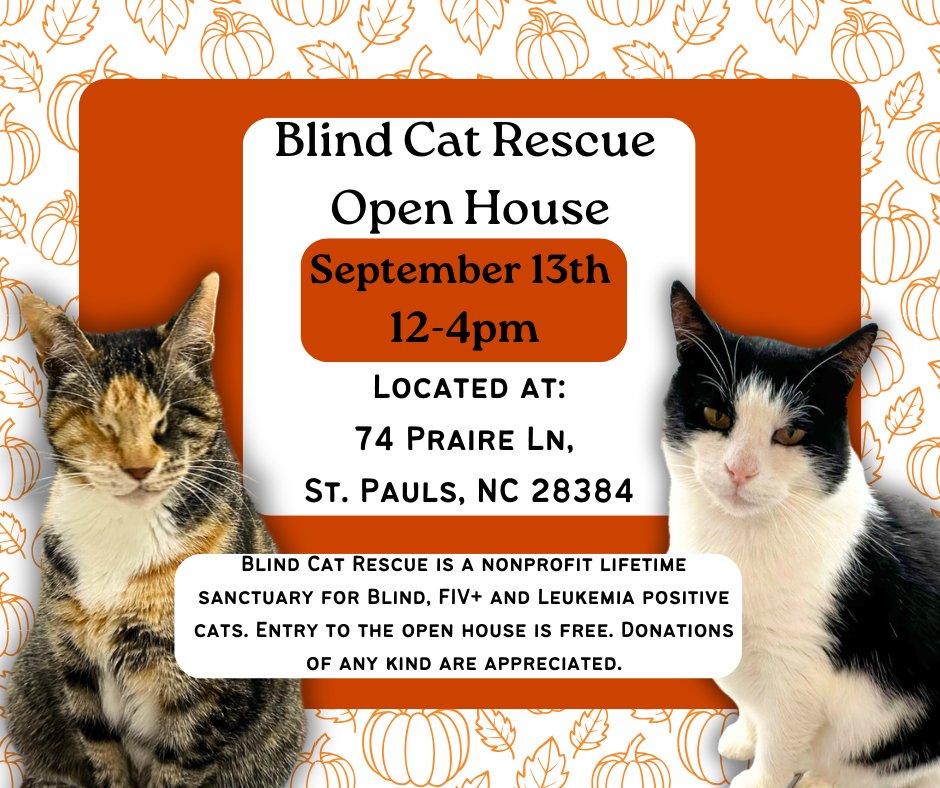 Looking for something fun and exciting to do next weekend? 😺

Look no further than Blind Cat Rescue's Open House event! Join us Saturday, September 13th from 12pm-4pm and have the opportunity to meet and interact with our amazing blind, fiv, and felv-positive kitties. No