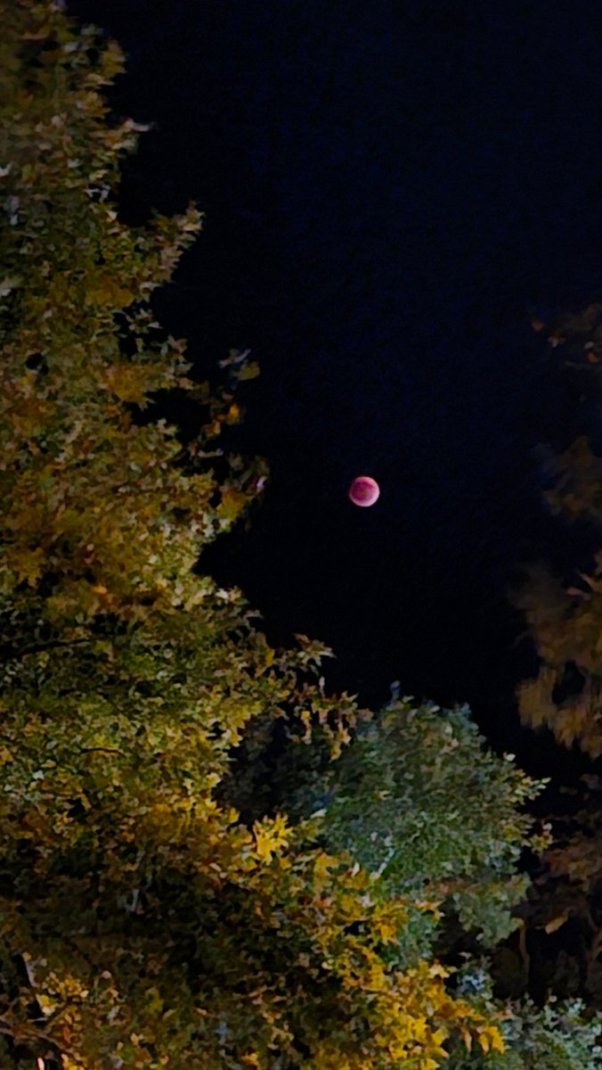 MugeMg's tweet image. #iyigeceler 😊
Photo by müge 😍
#aytutulması 
#mooneclipse