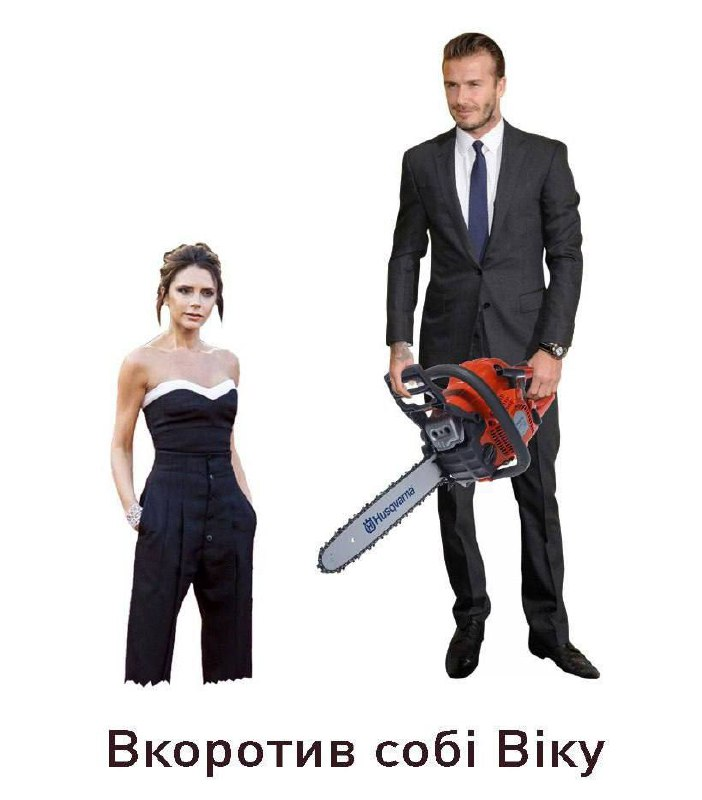 Баба і кіт (@babaikit) on Twitter photo 