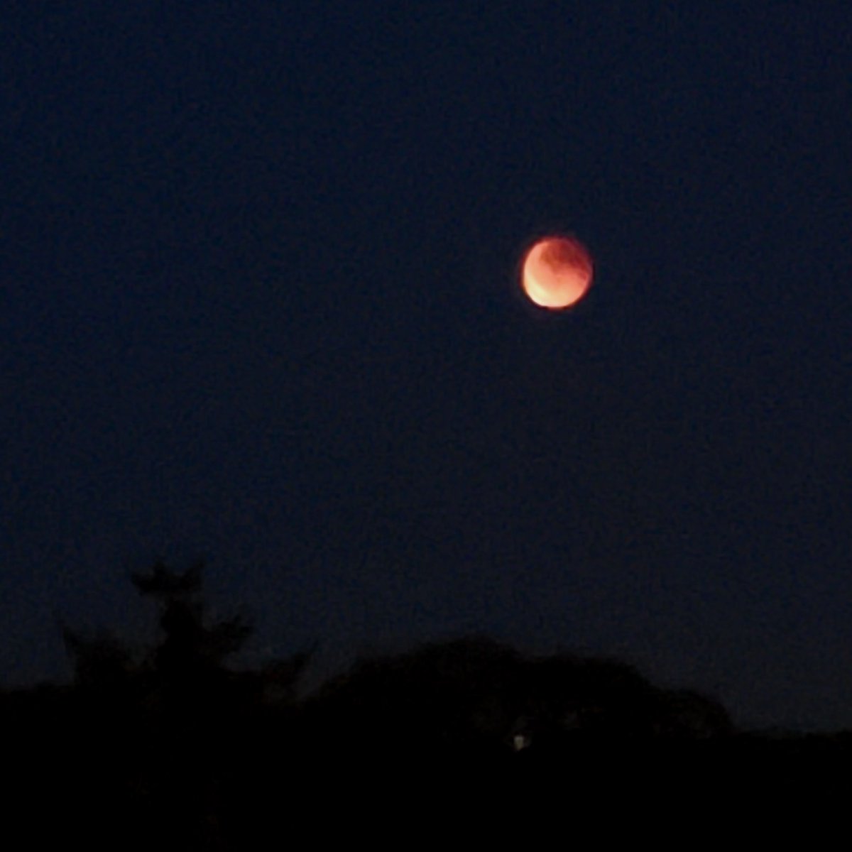Cloelog's tweet photo. 🥰 #redmoon #Eclipse #mooninpisces Stunning view from my window!😍 https://t.co/zJSf8oPuzW