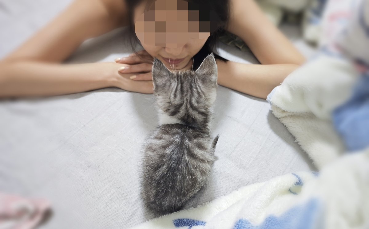 万岁不开森() tweet media