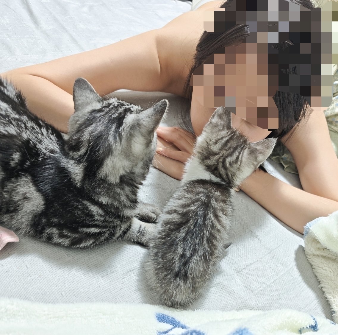 万岁不开森() tweet media
