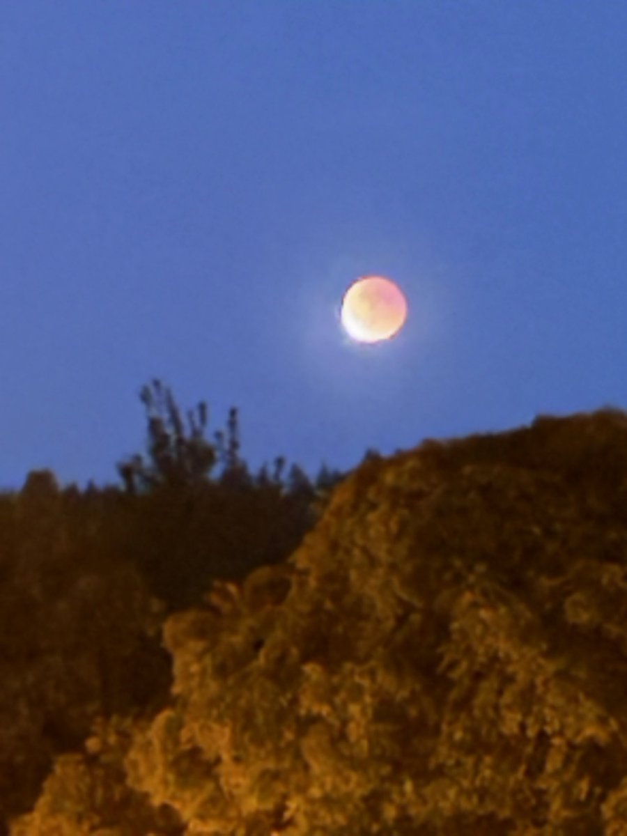 皆既月食中。メッチャ綺麗。