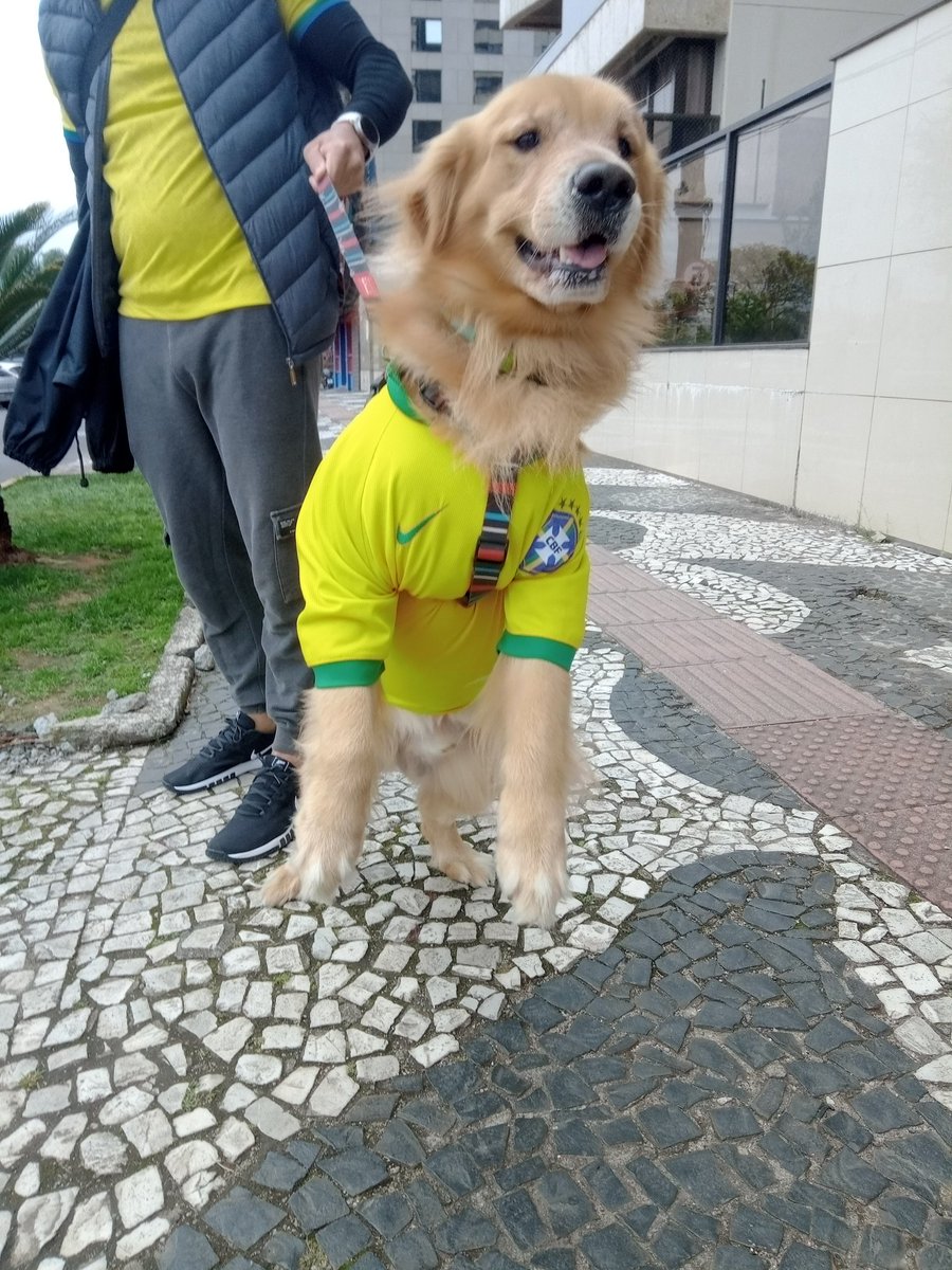 O manifestante mais simpático e fofo de hoje - 7 de setembro - Florianópolis SC 🇧🇷 
#FreeBolsonaro 
#SOSBrazil 
#AnistiaJa