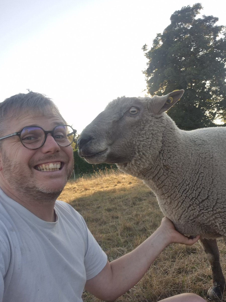 Charles Pillet 🐑 tweet media