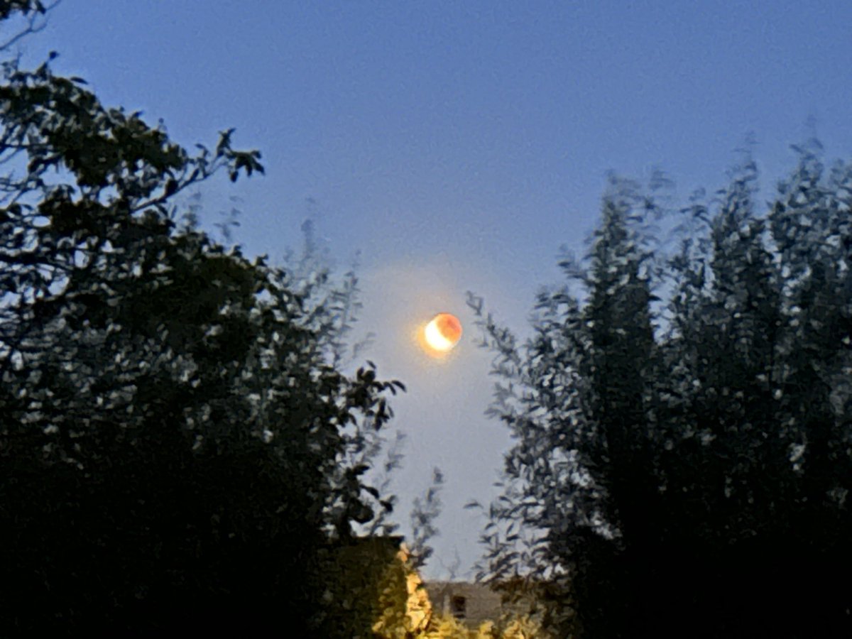 ChristavanDuin's tweet photo. #maansverduistering https://t.co/UY0ksrTDh5
