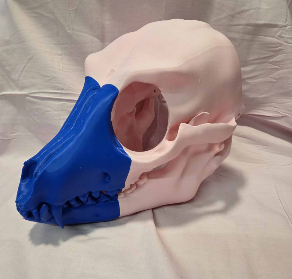 Anarchity tweet media