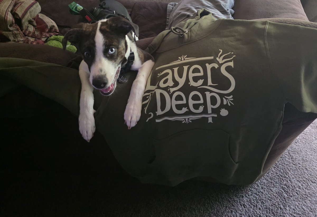 PunkARockin's tweet image. Looking forward to the game but I can rep with this dope hoodie in the mean time! Its freeezing in MN so this will keep me warm! 🤟 #LayersDeep