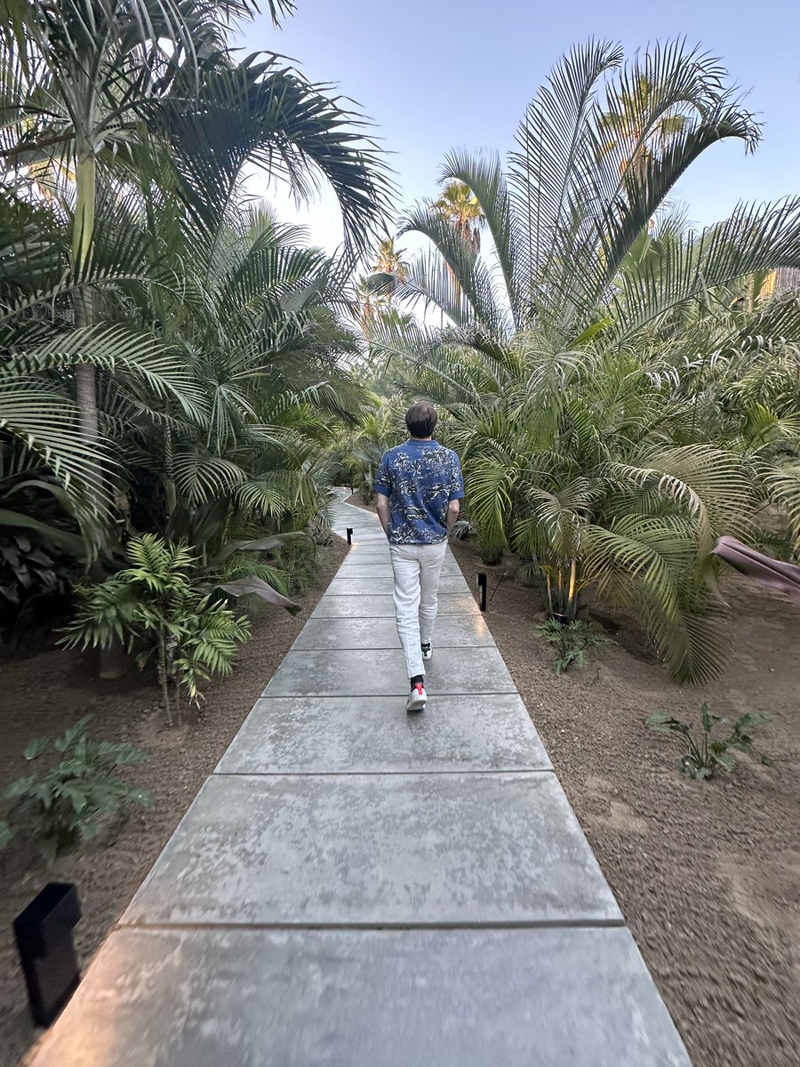 NotMisuses's tweet image. Ever Seen by beabadoobee