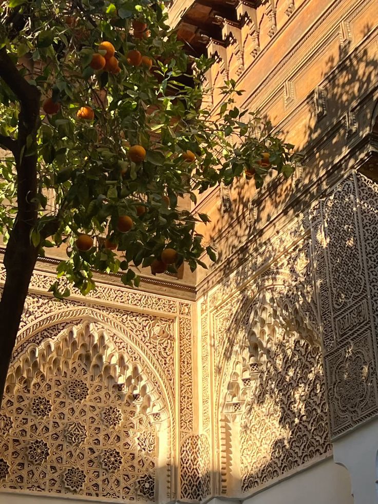 مُحَمَّد tweet media