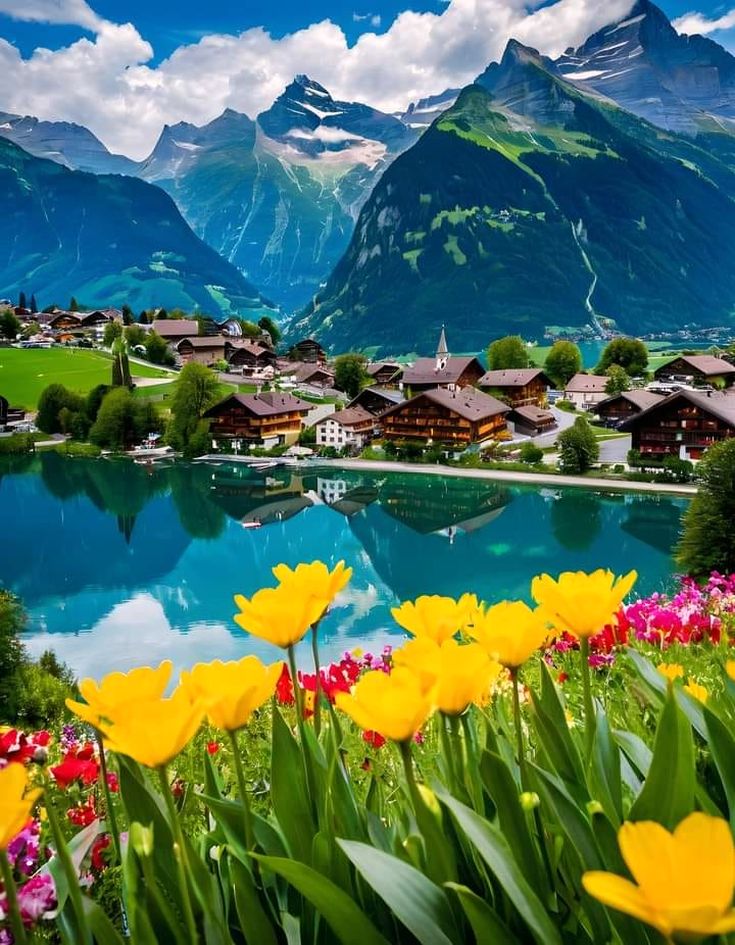 RubyJohnso53395's tweet image. The beauty of