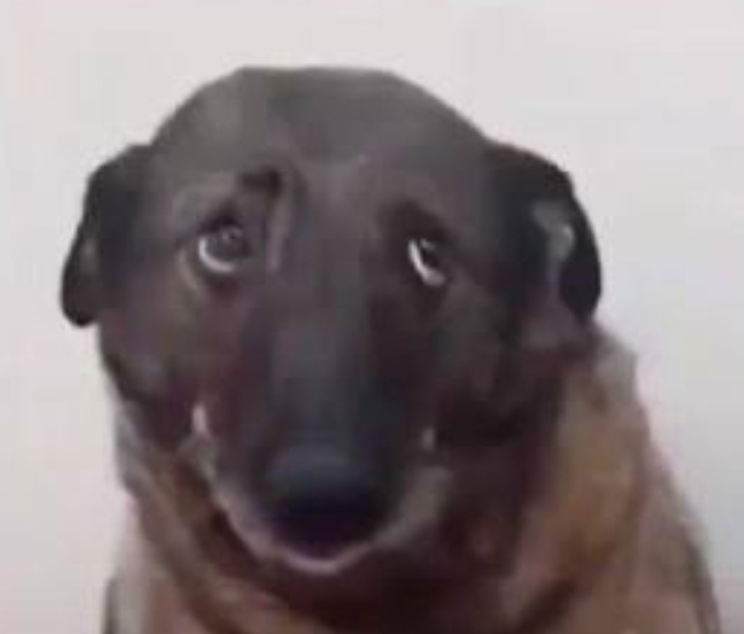 Yeter güzel abicim... #BizimÇocuklar