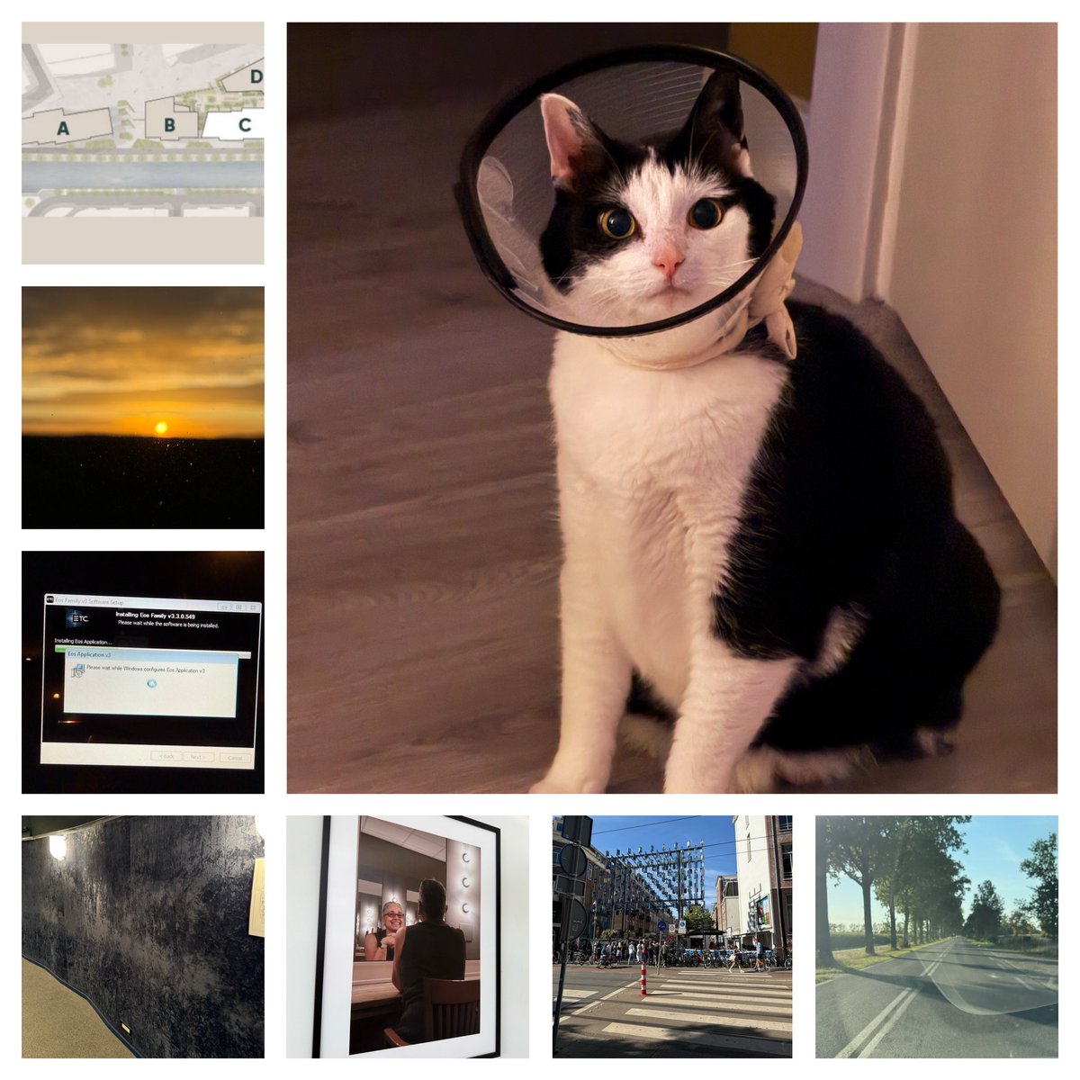 Edithmolmans's tweet image. #deweekisweerom