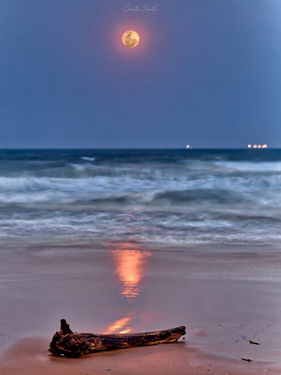 I Love Durban tweet media