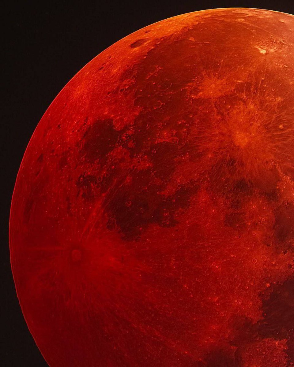 CallisoKim's tweet image. انقدر امشب خوب بود که میتونم بخاطرش مست بشم