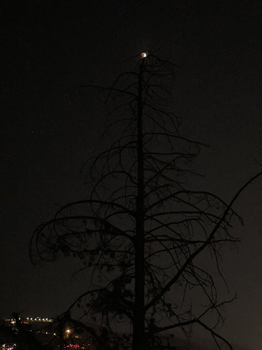 wioulet's tweet photo. The moon teases the night, showing just enough to keep us wanting more. https://t.co/NzGOWOb8pI