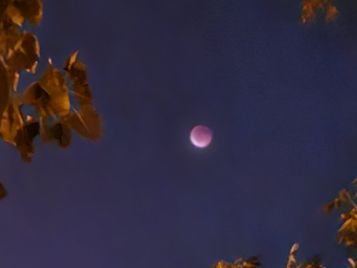 AllisonAronya's tweet image. Eclipsa de lună din seara asta...🌗
#eclipsa 🌗 #luna🌗