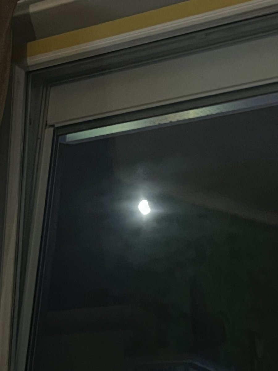 Georg Waldmensch 🌳 tweet media